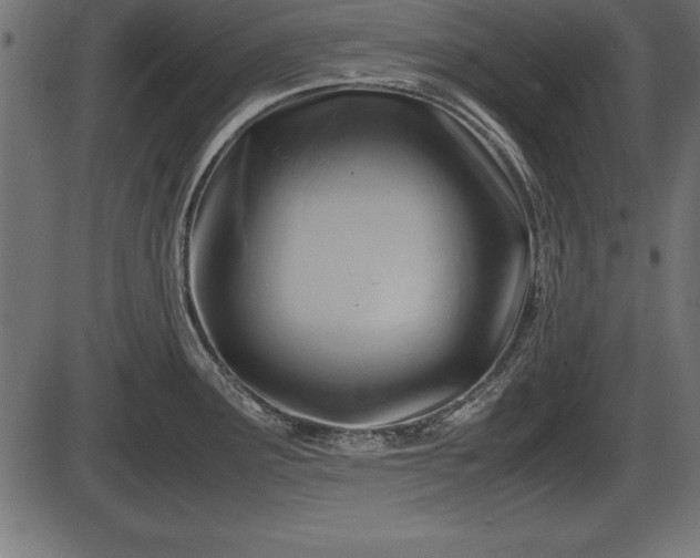 X0000086291291200704090946