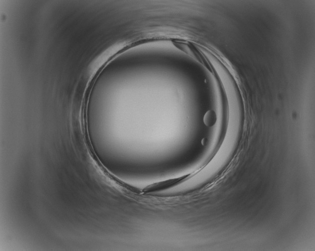 X0000086291293200704090946