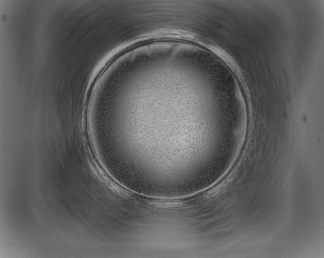 X0000086291296200704090946