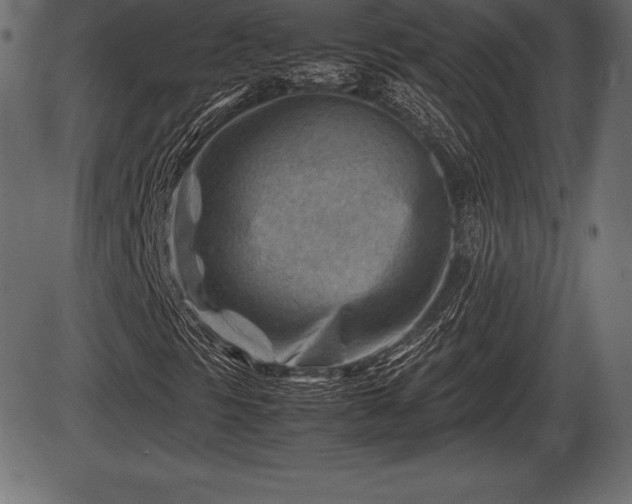 X0000086291297200704090945