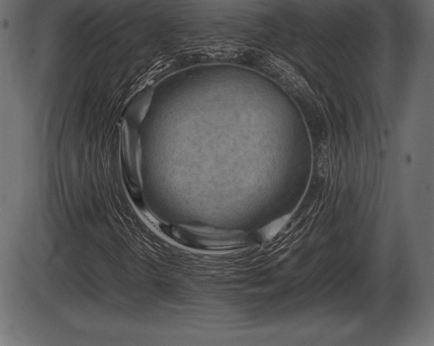 X0000086291298200704090945