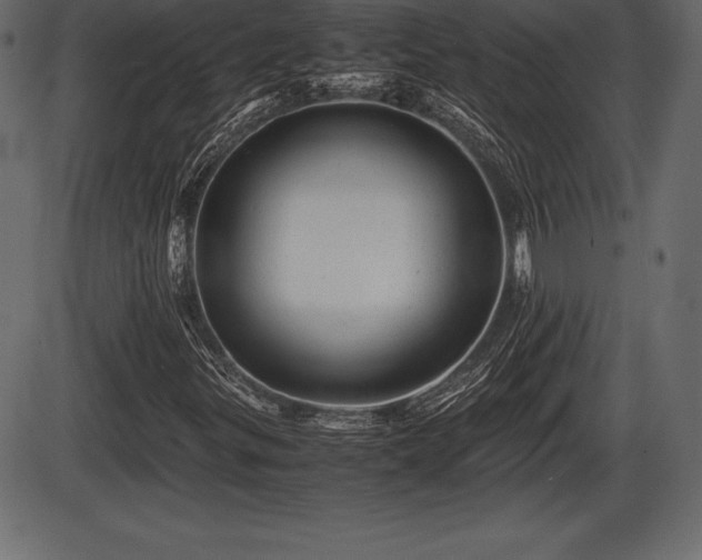 X0000086291299200704090945
