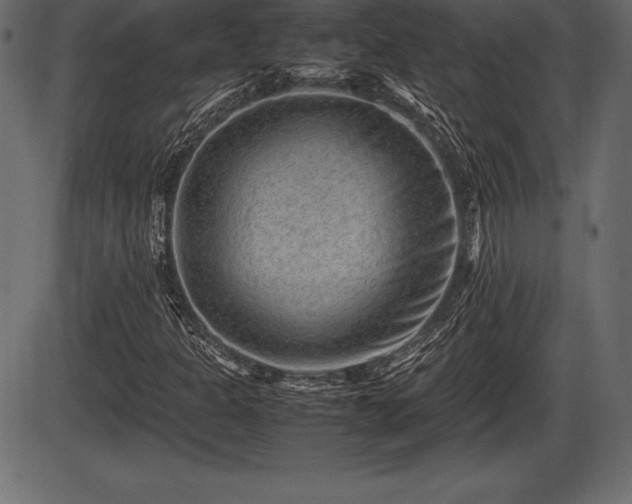 X0000086291301200704090945