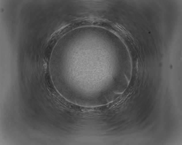 X0000086291302200704090945