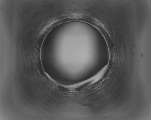 X0000086291304200704090945