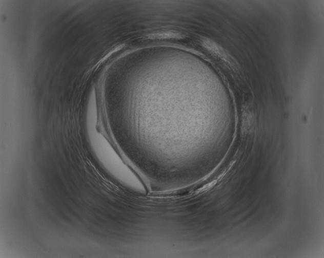 X0000086291305200704090945
