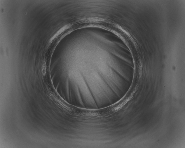 X0000086291306200704090945