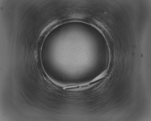 X0000086291307200704090945