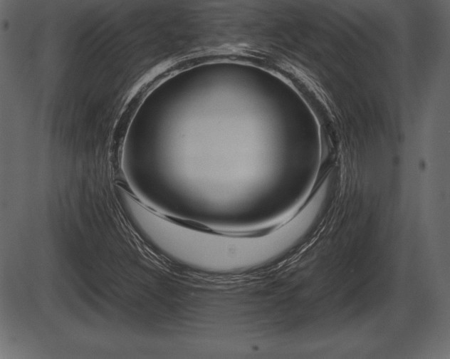 X0000086291308200704090945