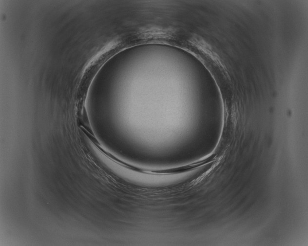 X0000086291309200704090945