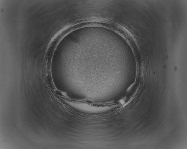 X0000086291310200704090945