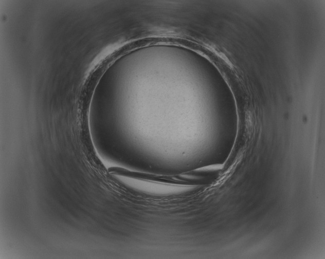 X0000086291311200704090945