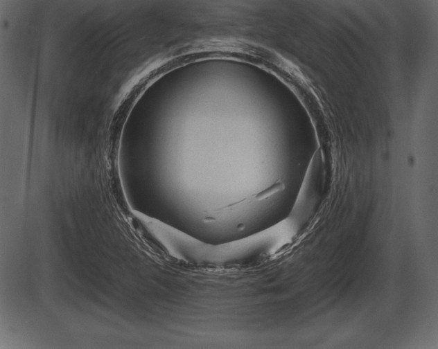 X0000086291312200704090945