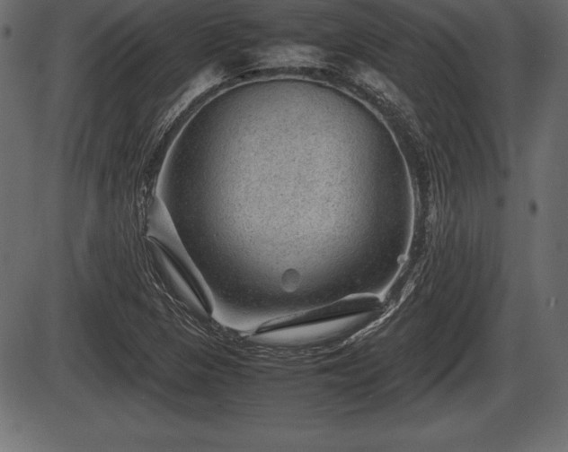 X0000086291313200704090945