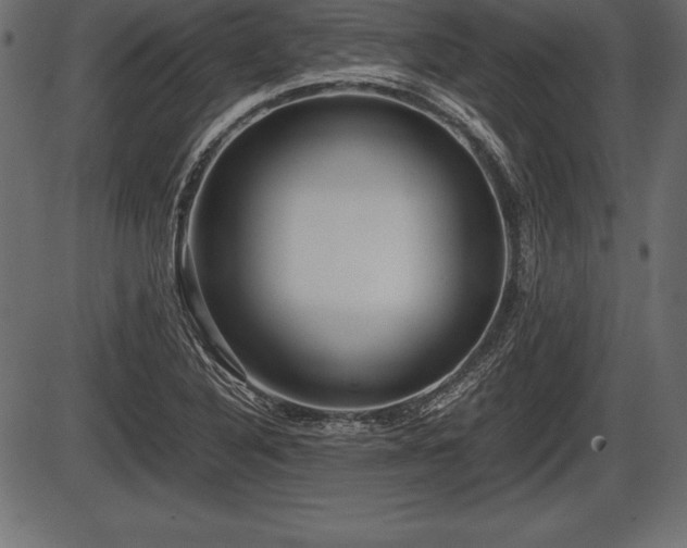 X0000086291316200704090945