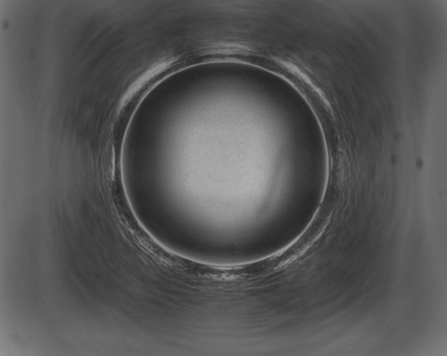 X0000086291317200704090945