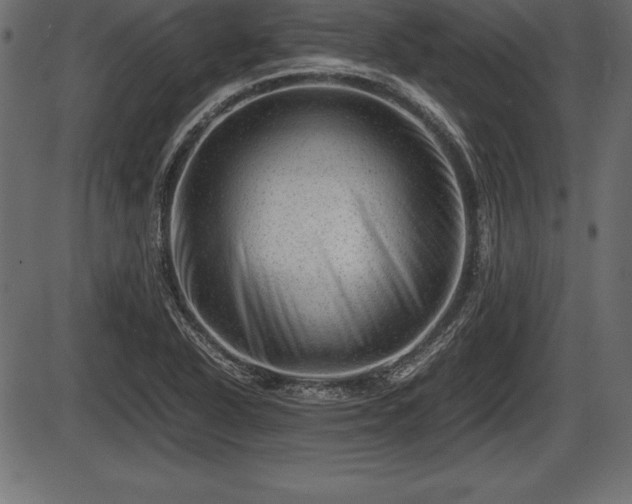 X0000086291318200704090945
