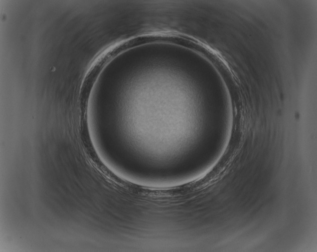X0000086291319200704090945