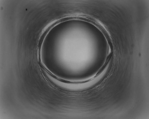 X0000086291320200704090945