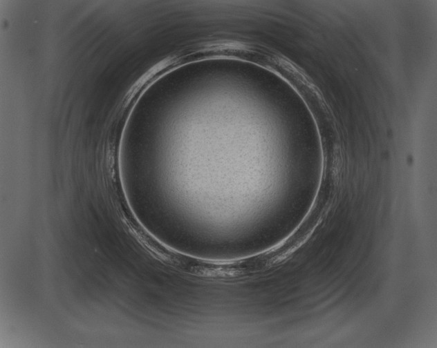 X0000086291321200704090945