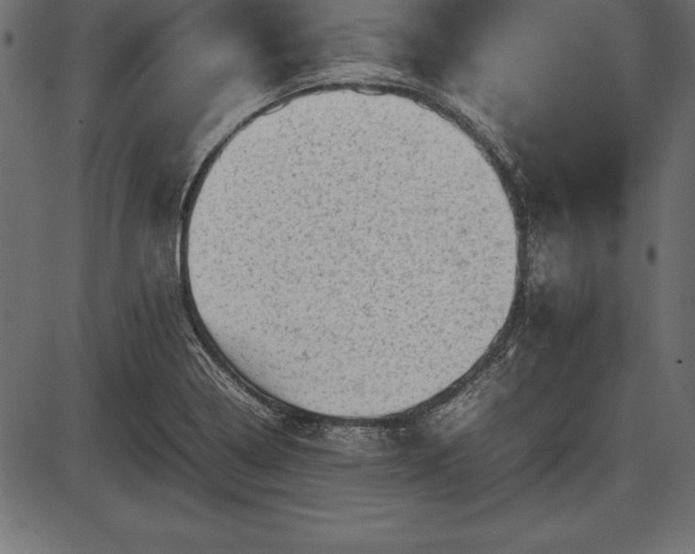 X0000086291322200704090945