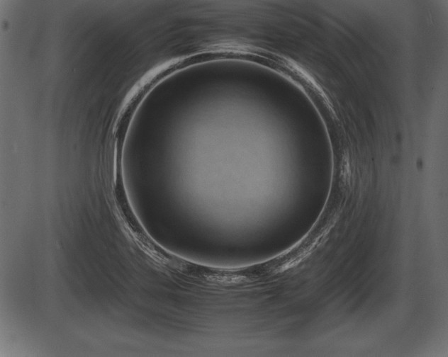 X0000086291323200704090945