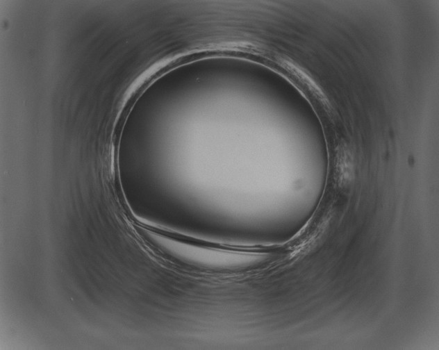 X0000086291324200704090945