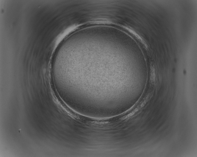 X0000086291325200704090945