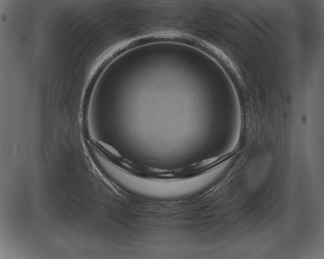 X0000086291327200704090945