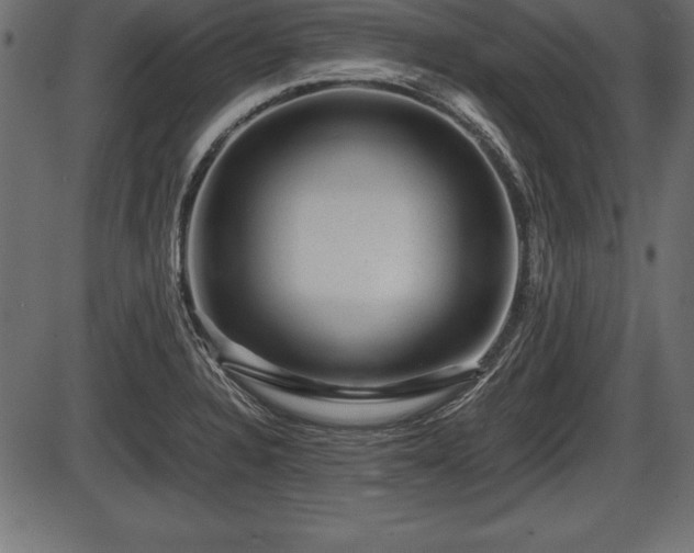 X0000086291328200704090945