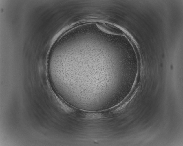 X0000086291333200704090946