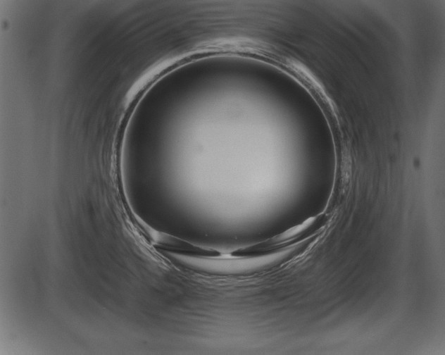 X0000086291336200704090946