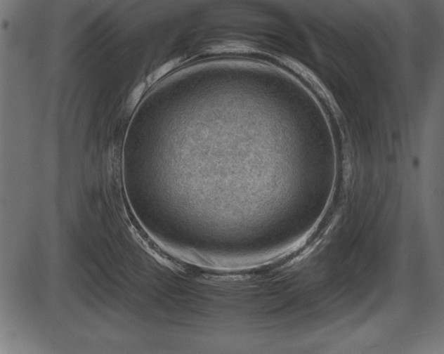 X0000086291337200704090946