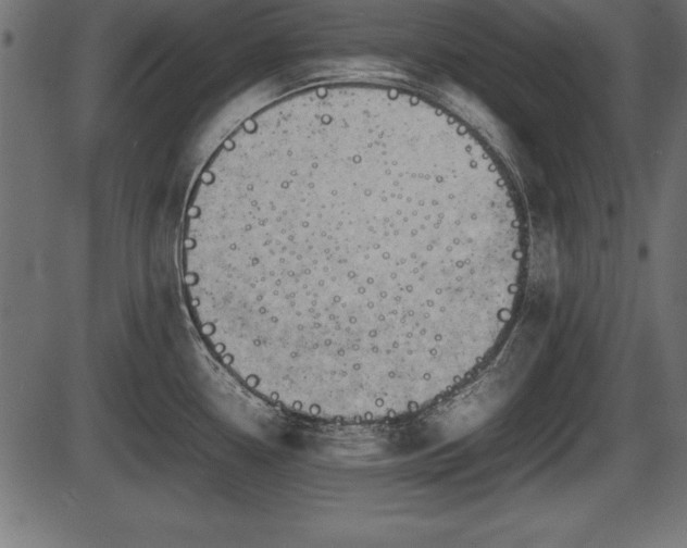 X0000086291338200704090946