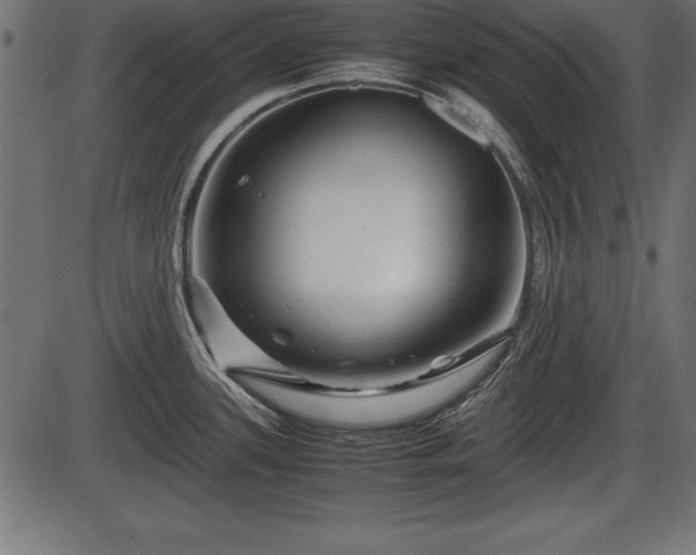 X0000086291339200704090946