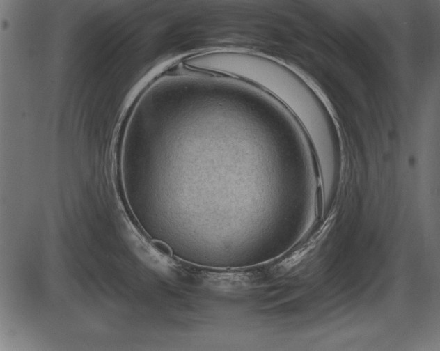X0000086291341200704090946