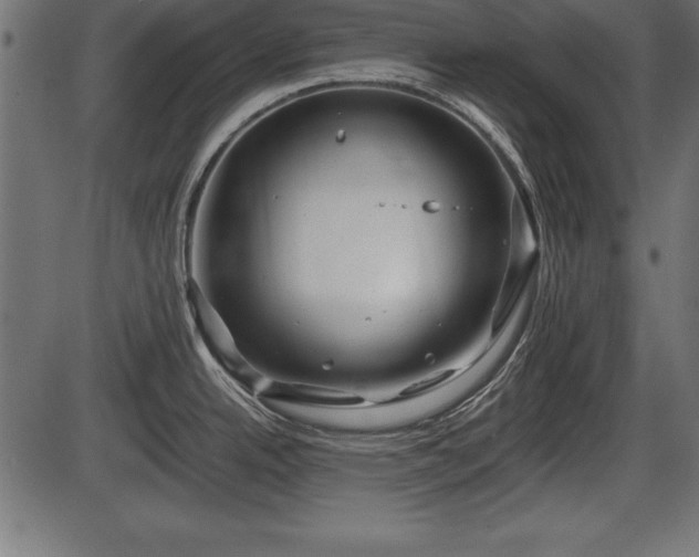 X0000086291342200704090946