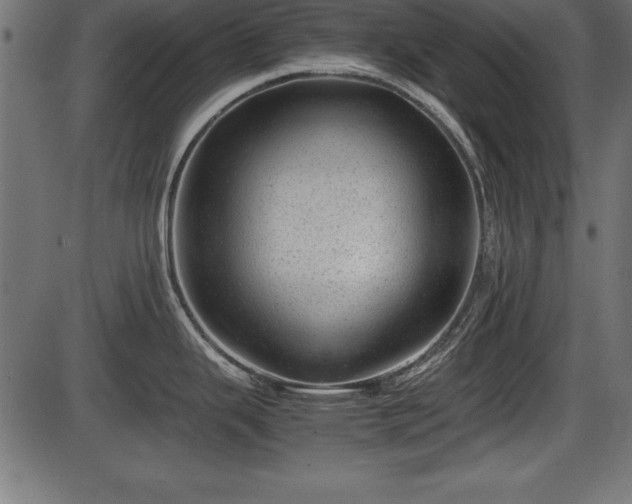X0000086291343200704090946