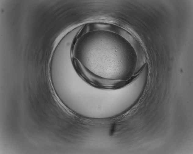 X0000086291344200704090946
