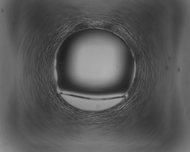 X0000086291345200704090945