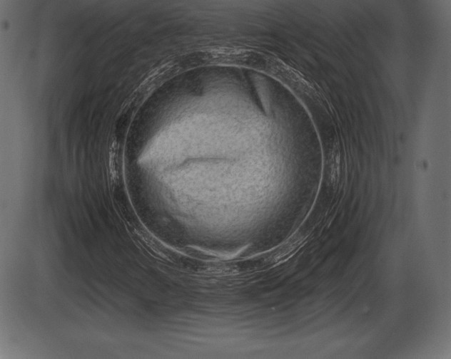 X0000086291346200704090945