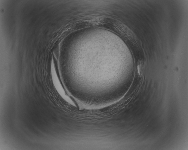 X0000086291347200704090945