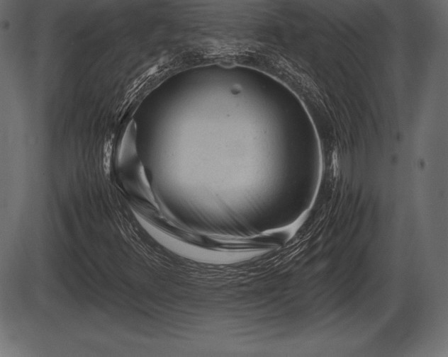 X0000086291348200704090945