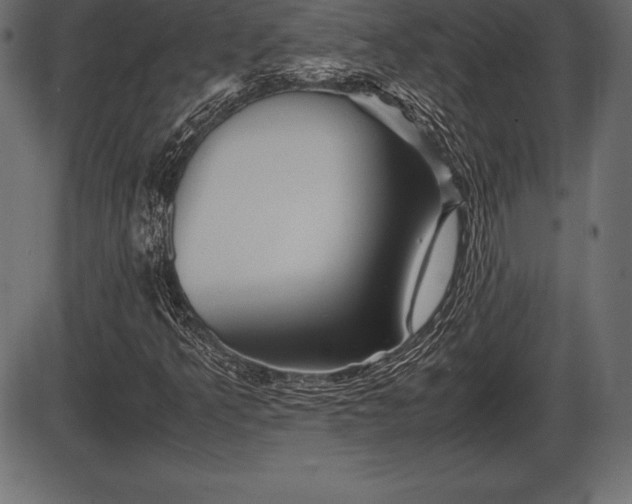 X0000086291349200704090945