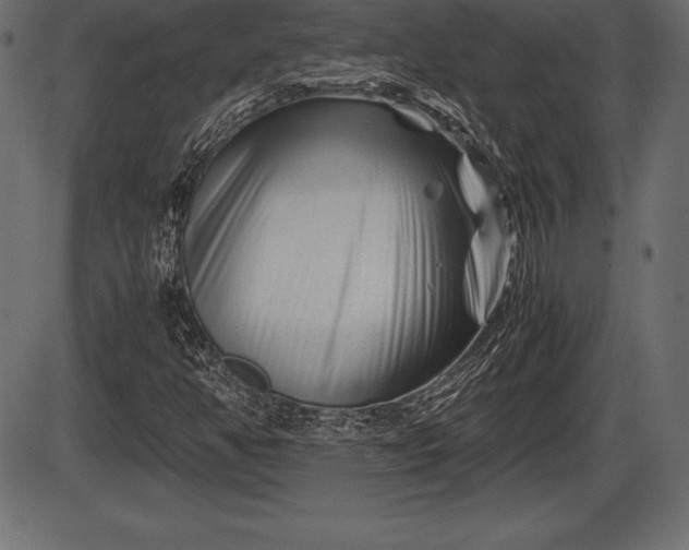X0000086291350200704090945