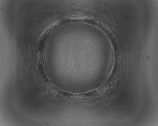 X0000086291351200704090945