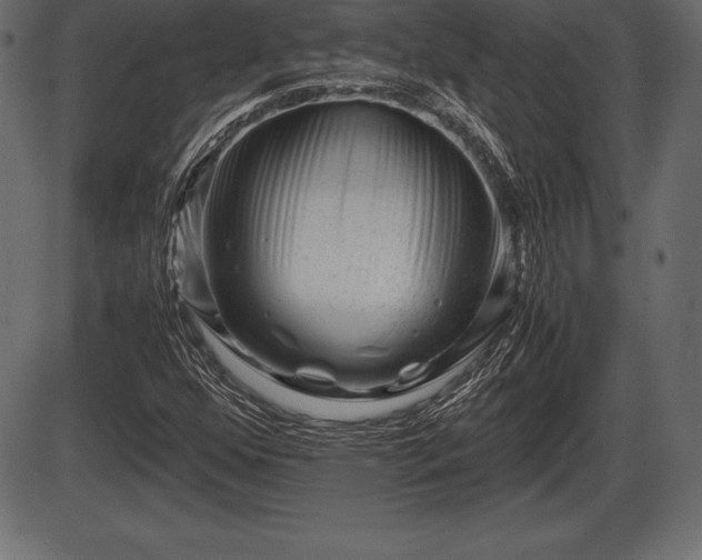 X0000086291352200704090945