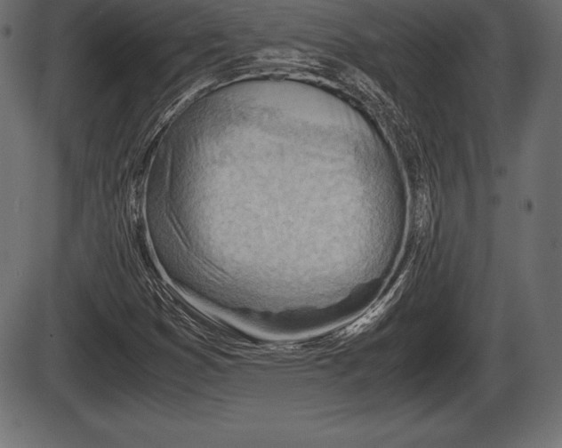 X0000086291353200704090945