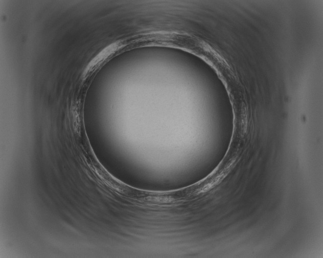 X0000086291354200704090945