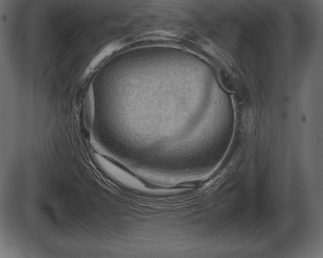 X0000086291355200704090945